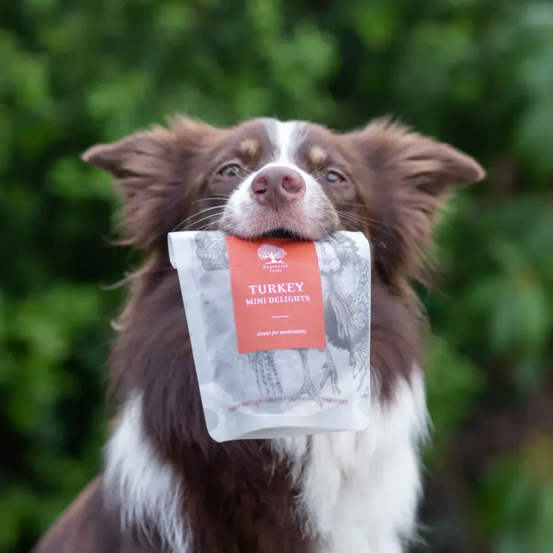 Essential Turkey Mini Delight 100g