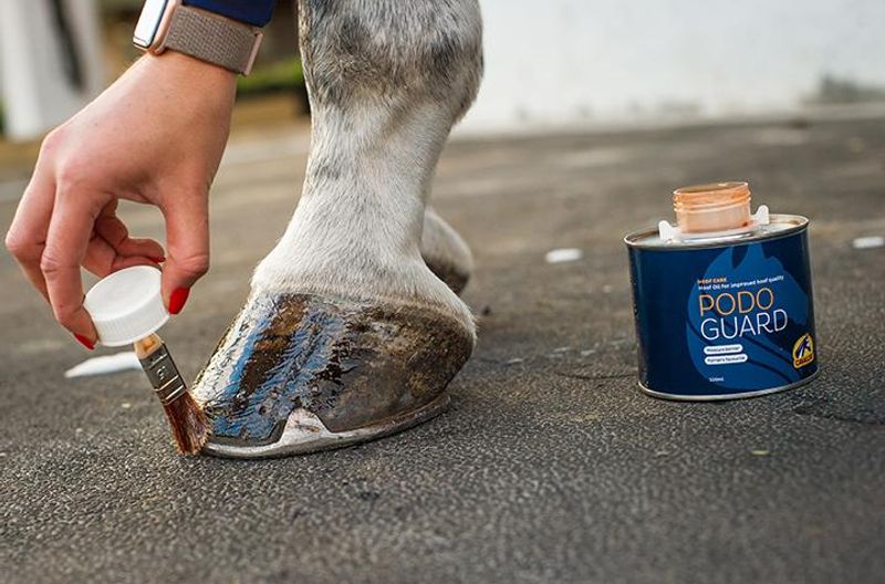 Cavalor Podoguard 500ml