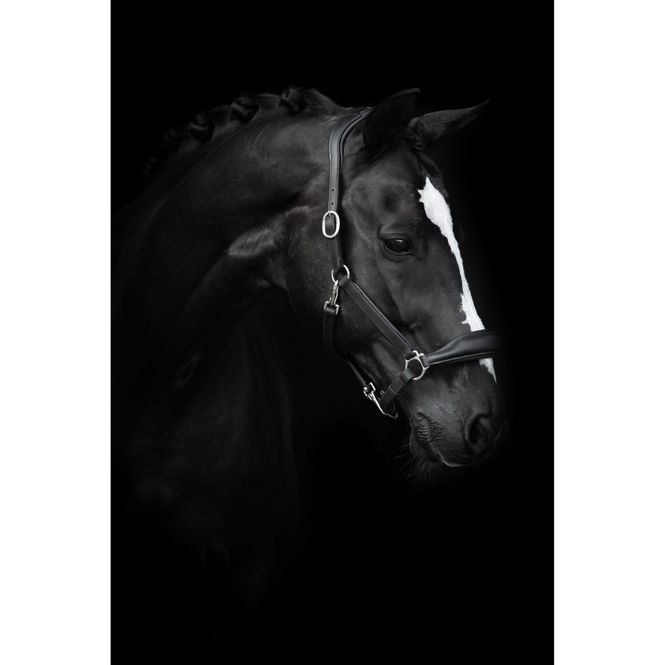 Hovedbilde Lippo Lærgrime