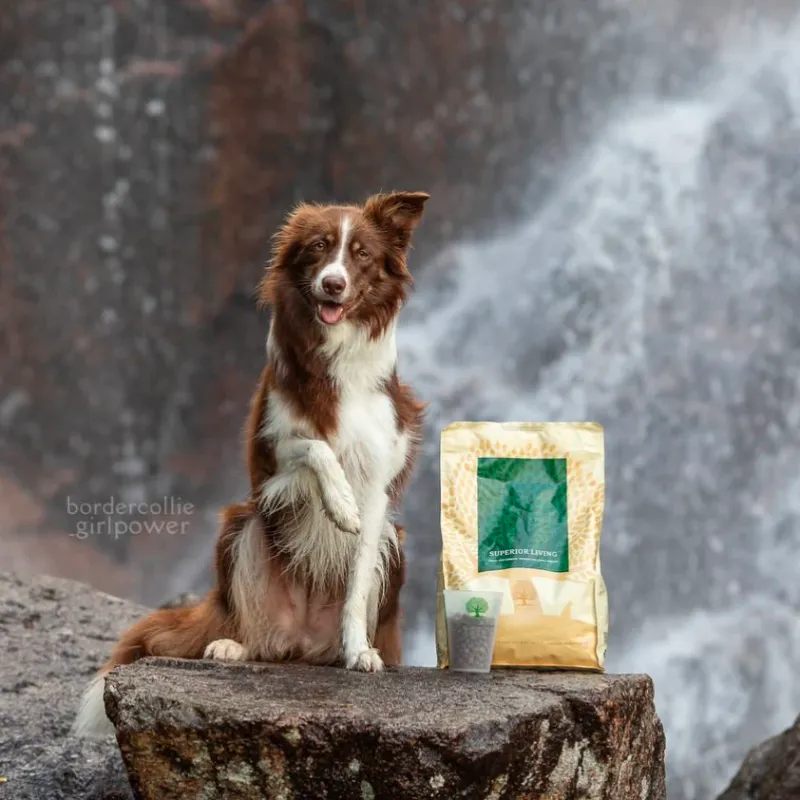 Essential Superior Living 2,5kg