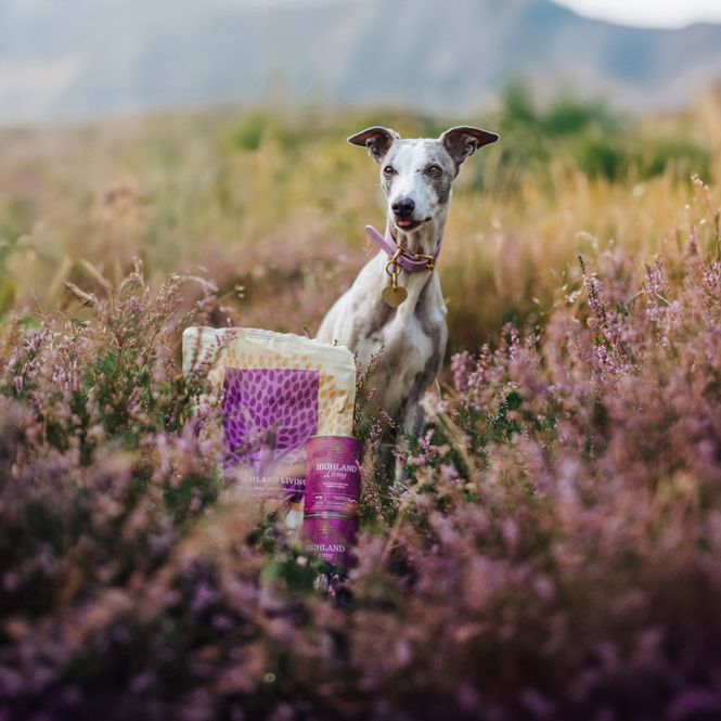 Hovedbilde Essential Highland Living 2,5kg