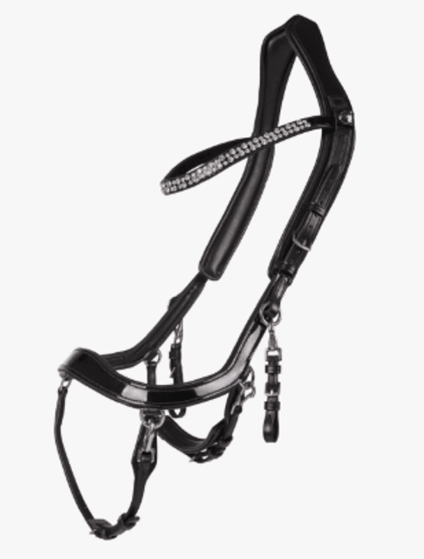PresTeq FaySport Shine hodelag